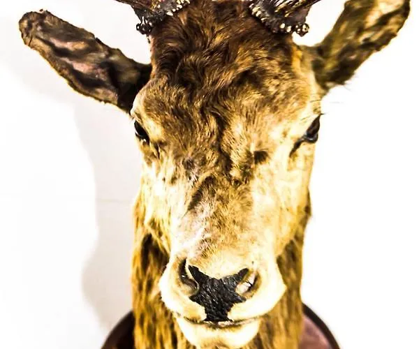 Restaurant Engelanderhof Hotel Beekbergen